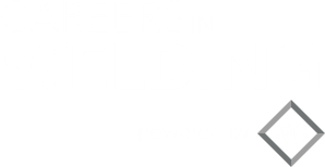 Careers in Welding